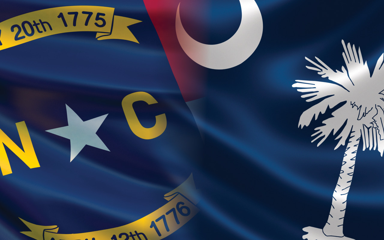 photo of North Carolina and South Carolina flags merged