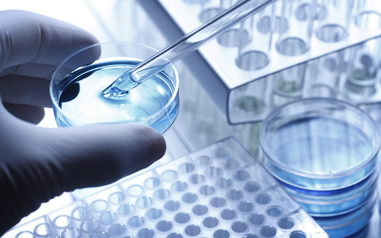 Scientist taking a sample out of a petri dish using a pipette - stock photo