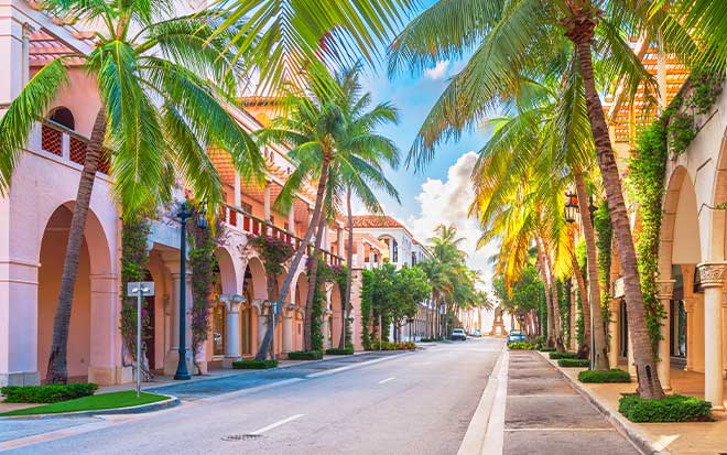 Image of a street with palm trees