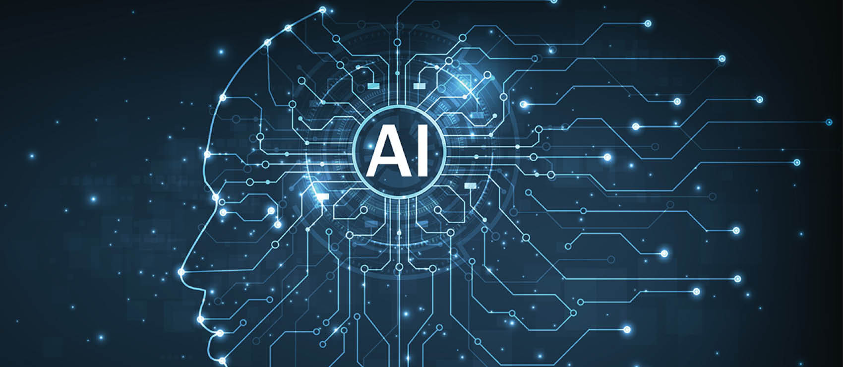 Nelson Mullins Homepage