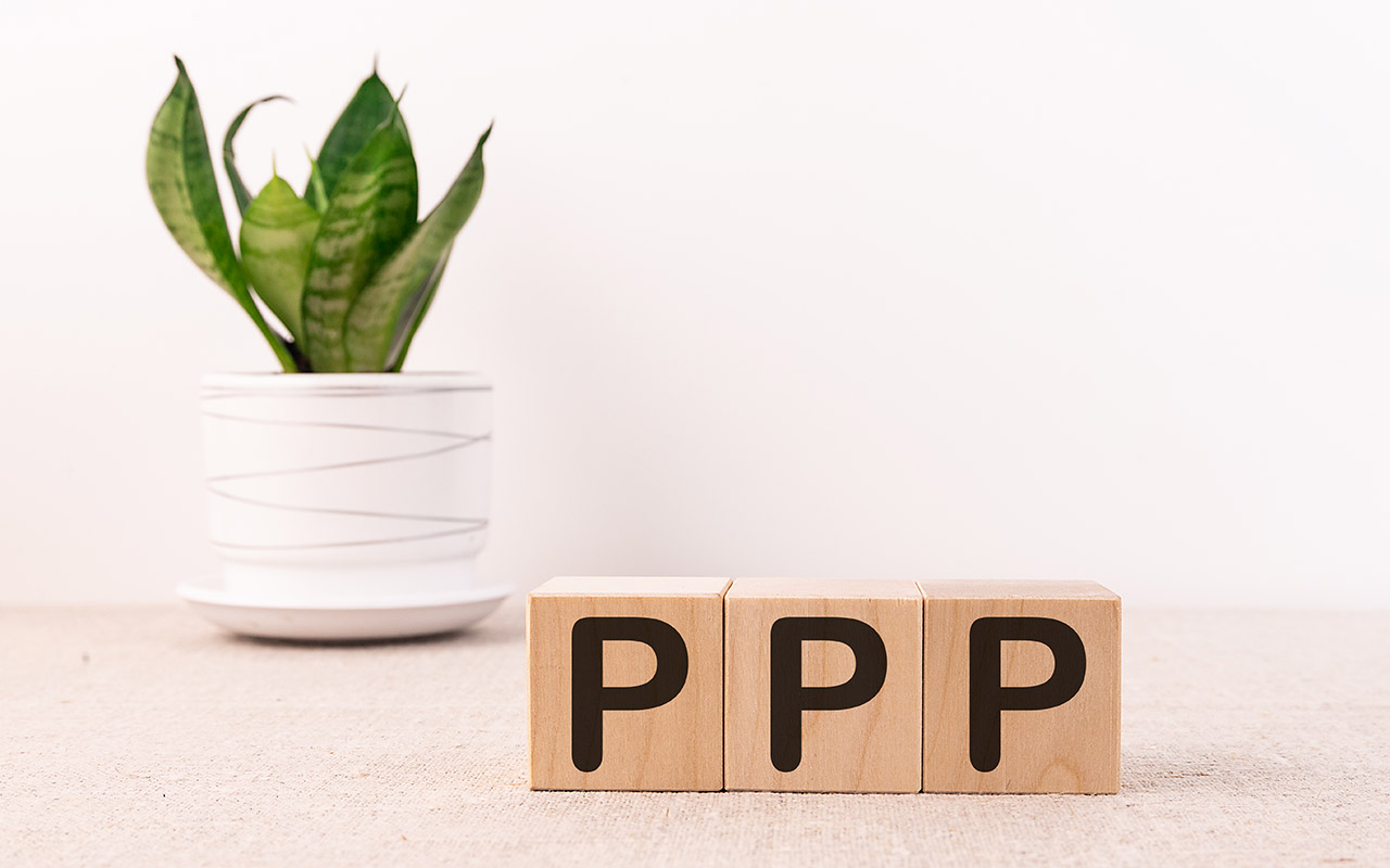 Image of a potted plant behind letter blocks reading 'PPP'